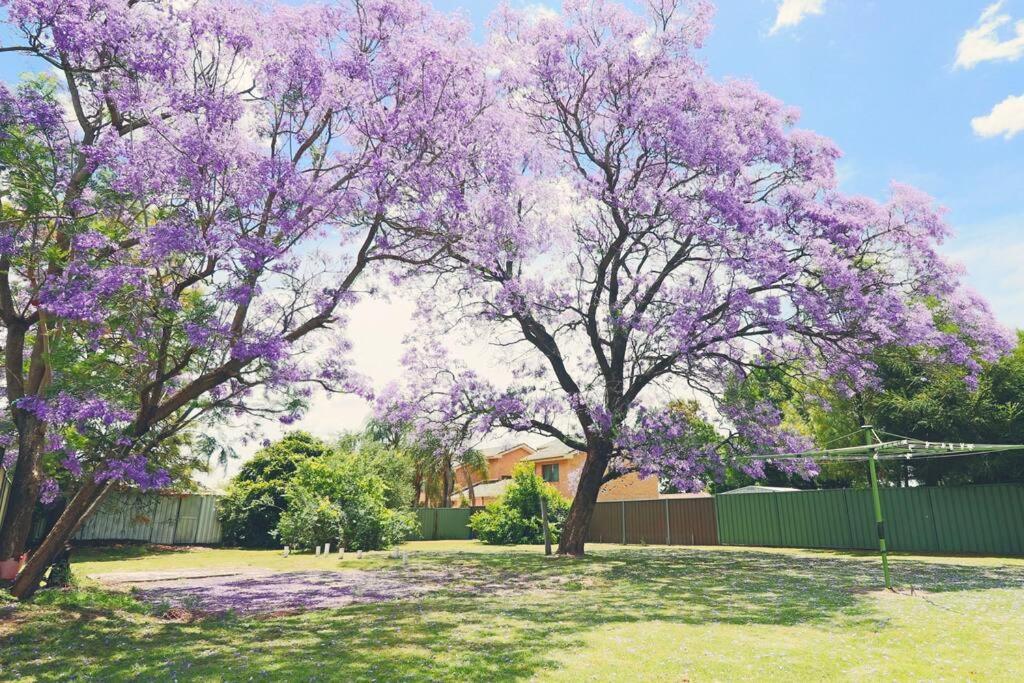 Jacaranda Cottage Dubbo Exterior photo